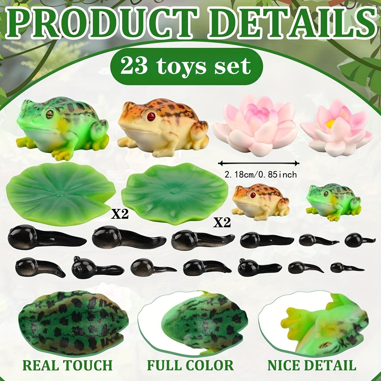 

23 mini frogs and tadpoles with lotus and lily mats - Outdoor pond garden decoration - Resin material