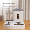 Automatic Pet Feeder & Water Dispenser