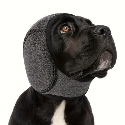 Roupa e sapatos – Chapéus para cães