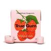 Danemark True Gum Chewing-gum Sans Sucre Framboise & Vanille 21G