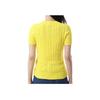 Polo Ralph Lauren Logo Embroidered Short Sleeve Knit Top Women Tops Yellow 211895379-014