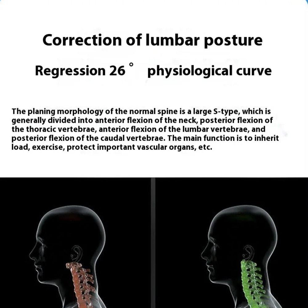 Professional Weight Lifting Belt Adjustable Weightlifting Waist Protection  Women