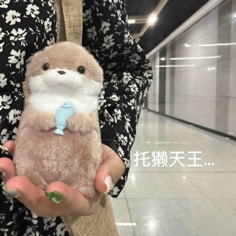 Sevimli Su Samurları Balık Tutan Peluş Bebek Anahtarlıklar Hafif Asılı Kolye Okul Çantası Anahtar Cüzdan Bebek Oyuncak Hediyeler 11cm