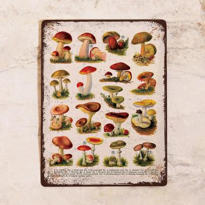 Aluminum Plate Decorative Plate Accounting of Mushroom Catch, Metal, 20X30 Cm