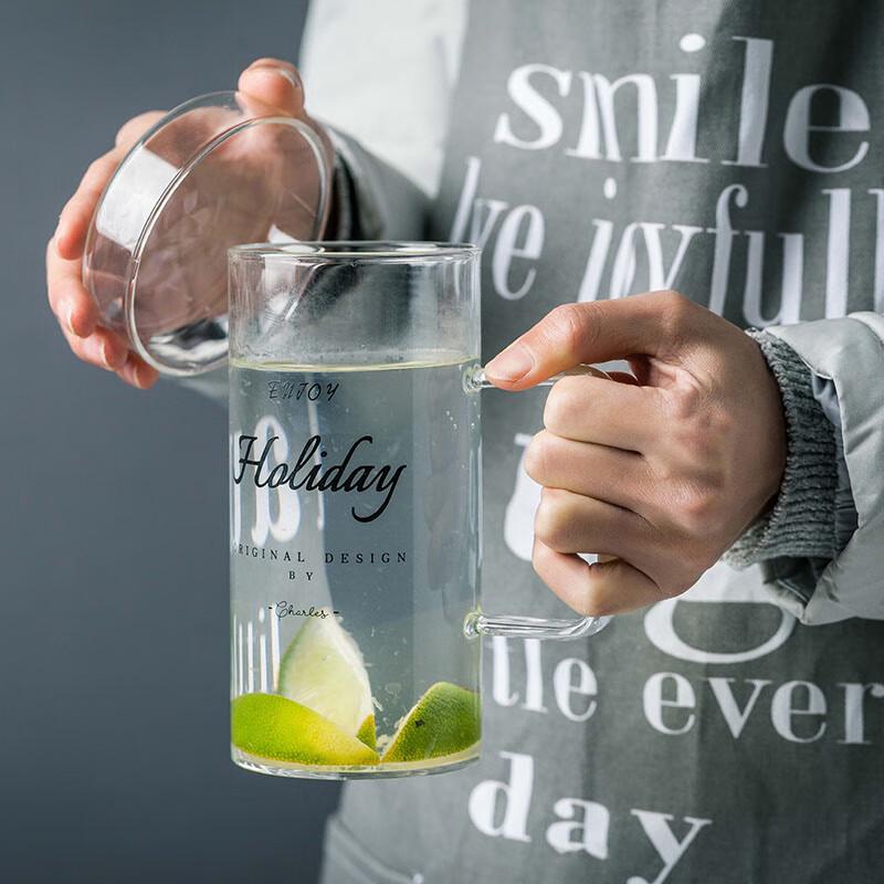 Heat-Resistant Glass Mug with Handle