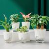 Lazy Self Watering Planter Pots Double Layer Hydroponic Flower Pot Succulent Potted Planters Bonsai Pot Home Office Garden Decor