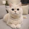 Adjustable Pearl Pet Collar Simulated Pearl Cat Bead Collar Necklace Elegant Bow Knot Ribbon Dogs Cats Collar Pets Accessories