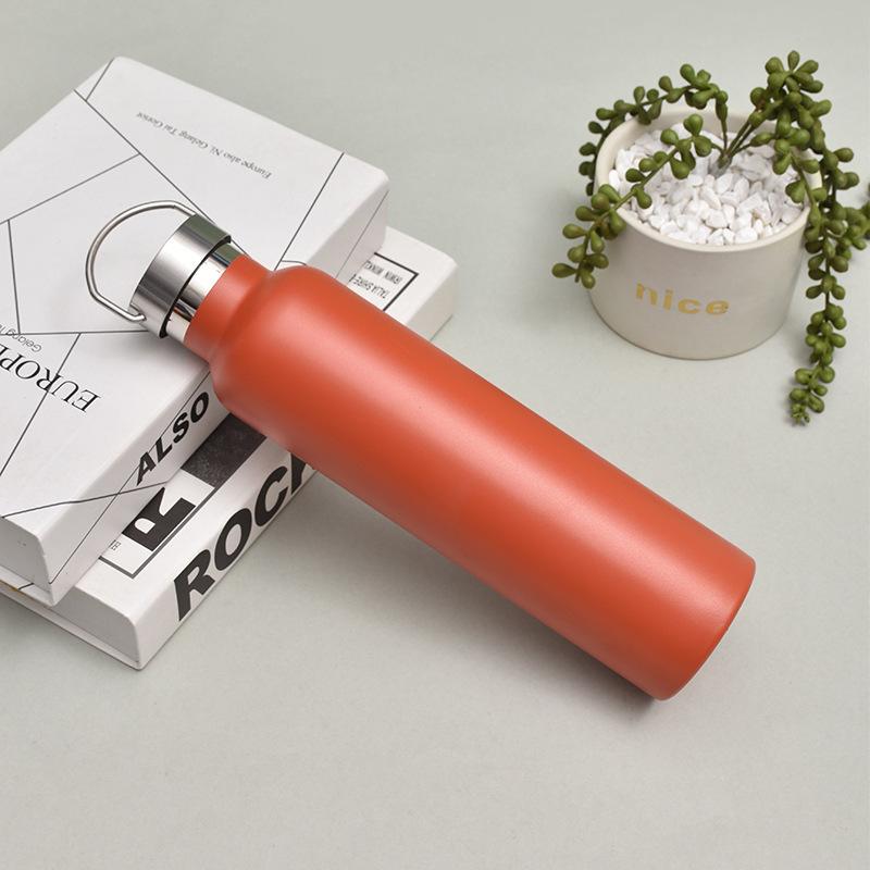 Stainless Steel Water Bottle with Handle Lid, Double Wall Vacuum Insulated Bottle for Sports Hiking Gym