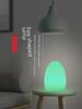 Rechargeable Remote-Control LED Table Lamp - Egg-Shaped, Colorful Night Light for Restaurant and Bedroom Decor