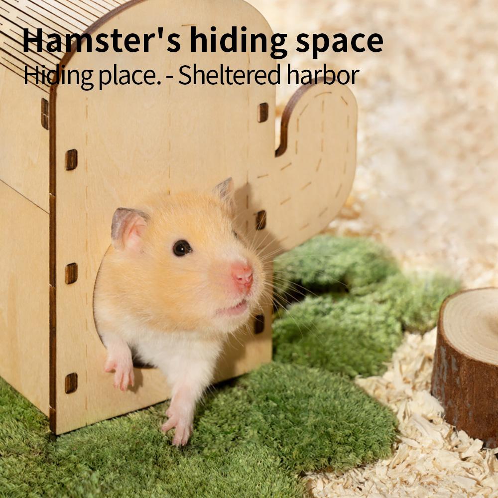 Wooden Hamster Cage for Small Pets, Cactus House, Squirrel Climbing Shelter, Rodents Hideout, Wooden Nest, Hamster Accessories,