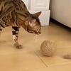 Cat Scratching Ball Toy Bite-resistant Kitten Interactive Chew Toys Funny Cat Scratcher Pet Supplies