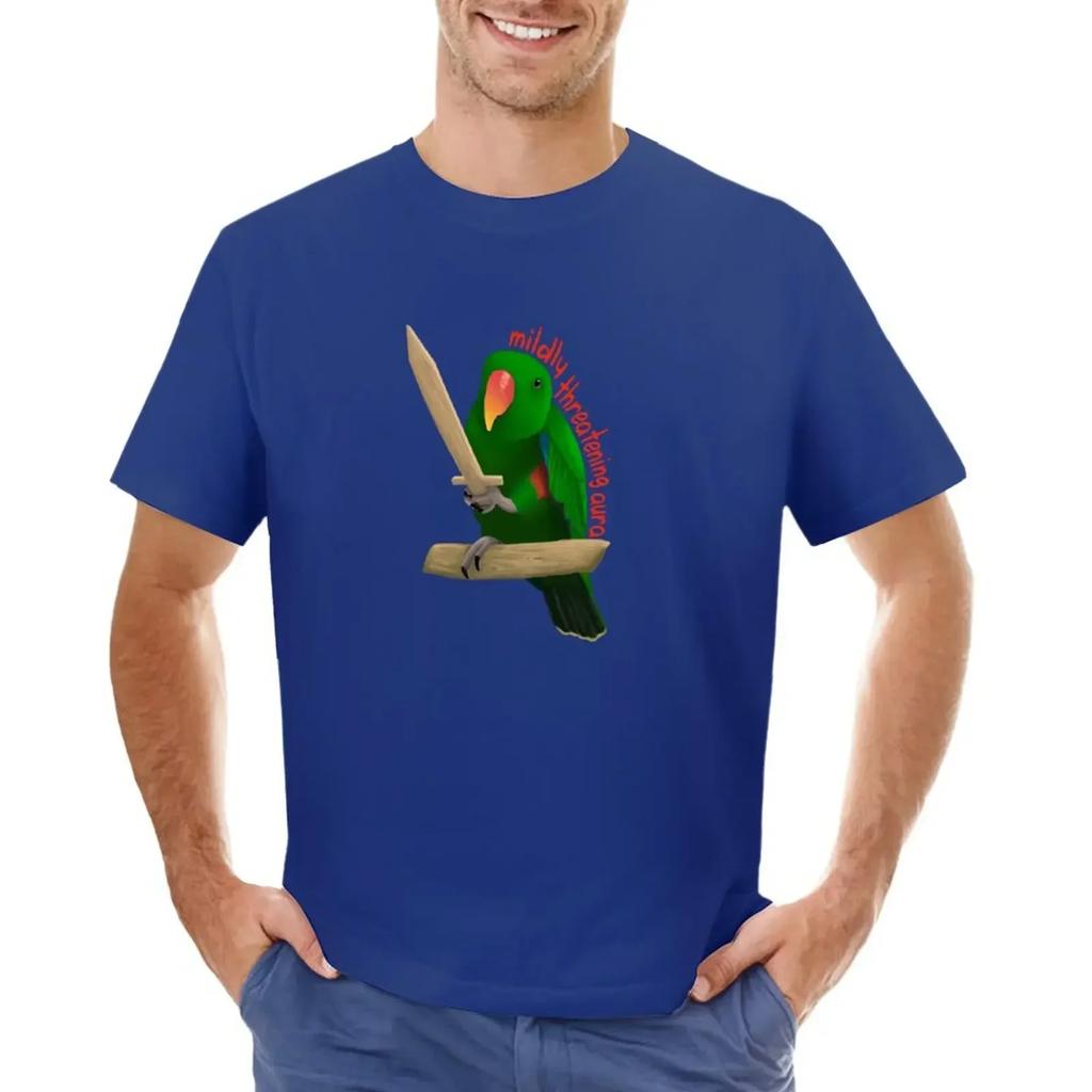Mildly Threatening Aura Eclectus T-shirt Plain Short Sleeve Tee Fruit of the Loom Mens T Shirts