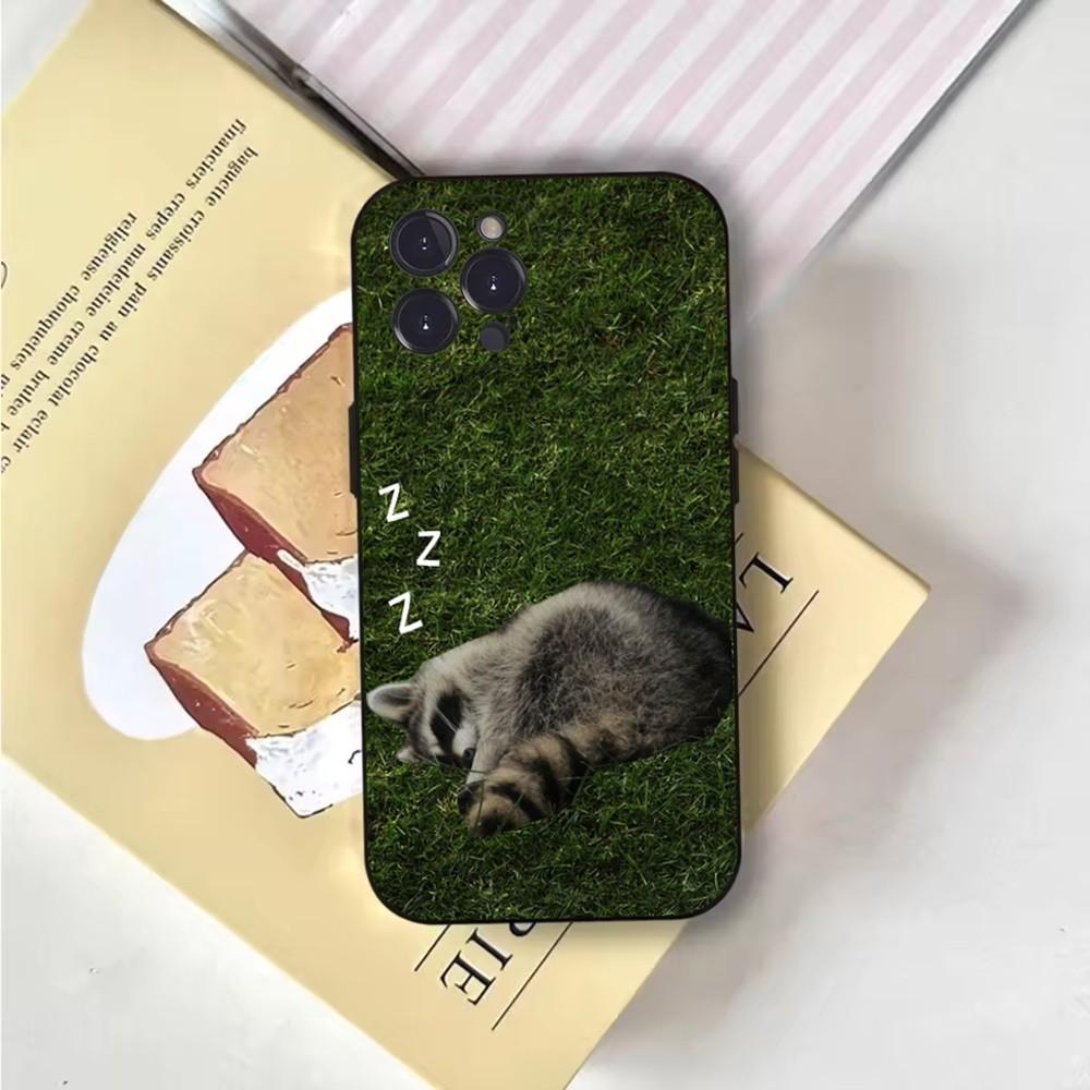 Funny Cute Raccoon Phone Case Phone Case For iPhone 16,15,14,13,12,11,Pro,X,XS,Max,XR,Plus,Mini Soft Black Cover