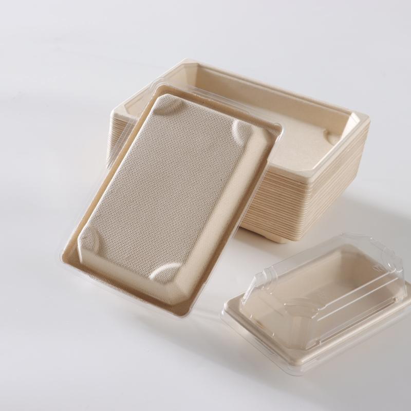 Disposable Sugarcane Sushi Takeout Box