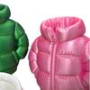Bunter 3D-gedruckter Daunenjacken-Stifthalter-Schmuck - Einzigartiges Wohnungsgeschenk