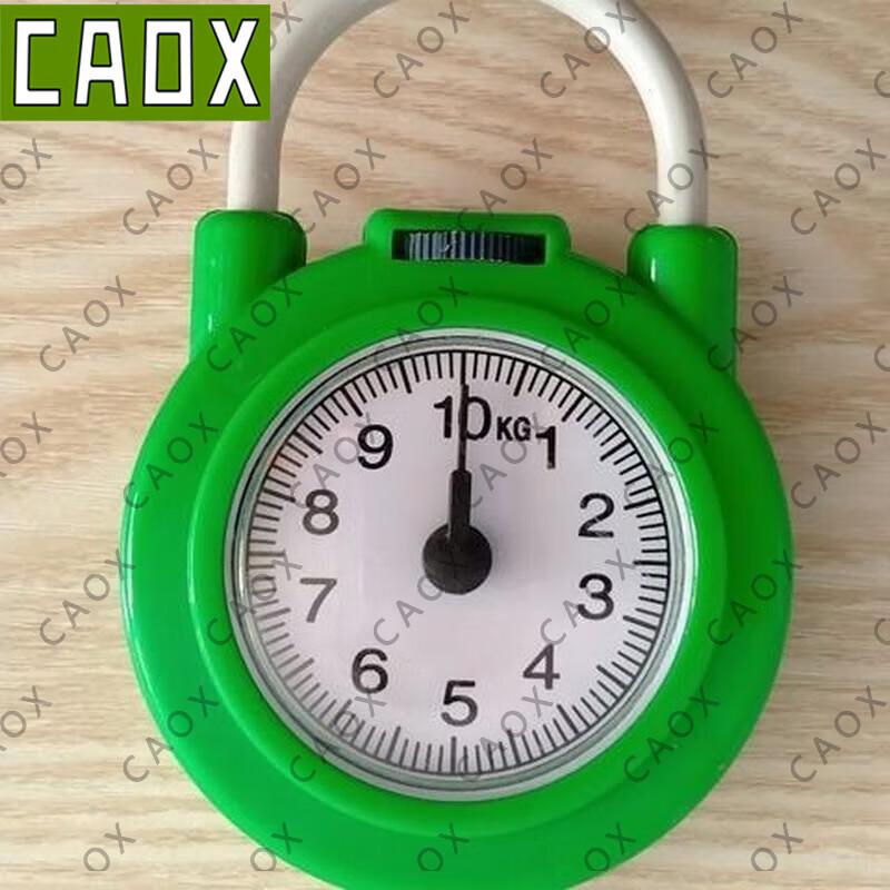 CAOX High-Precision Portable Spring Scale