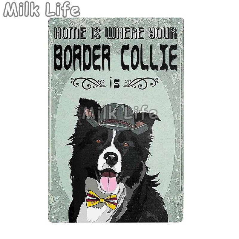 Metal Tin Sign Vintage Funny Border Collie Dog for Coffee Bathroom Toilet Pet Shop Home Sweet Home Sign Bedroom Art Wall Decor