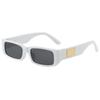 X12110 Trendy Small Frame Sunglasses - Light Luxury High-End Hip Hop Street Style