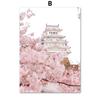 Spring Pink Japanese Sakura Peony Butterfly Flower Orchid Church Building Posters Wall Art Canvas Painting Living Room Decor