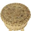 Maison Exclusive - Tabouret de bar Rotin naturel
