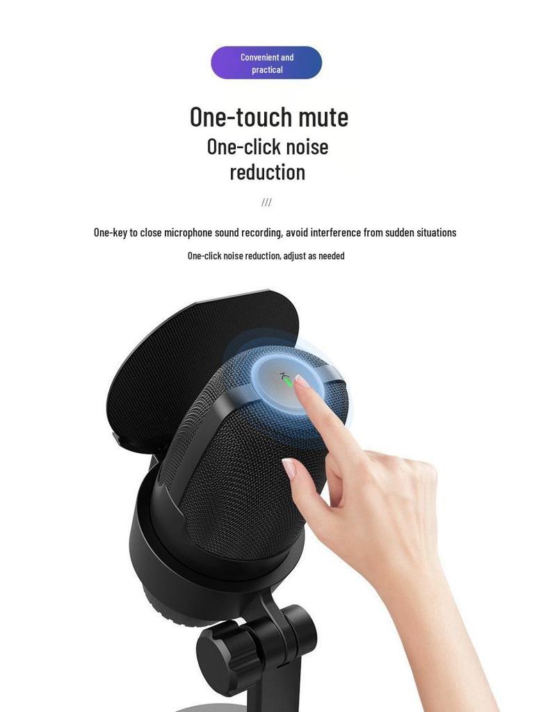 RGB USB Desktop Microphone with One-Key Noise Reduction for Gaming and Live Broadcasts