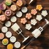 Çeşitli Mooncake Kalıp Sonbahar Ortası Festivali Mooncake Kalıp DIY El Basınç Fondan Süslemeleri Araçları Ay Kek Kalıbı