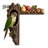 Decorative Accents for Reading Nooks Chipmunk Tree Door Topper, Squirrel Owl Wooden Frame Sign, Funny Whimsical Rustic Home Wall Animals Corner