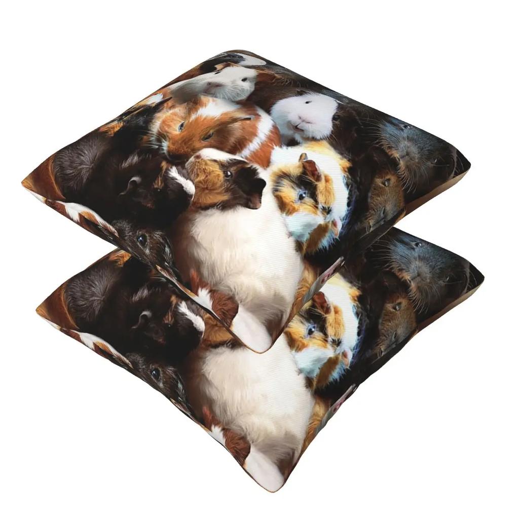 Guinea Pigs 2 Pcs Square Pillowcase Pillow Cover Cushion Zip Decorative Comfort Throw Pillow For Home Bedroom
