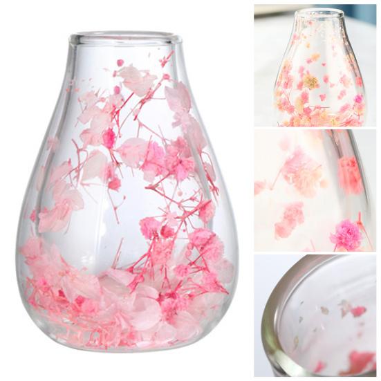Mini Glass Decorative Bottle with Dried Flowers Compact Transparent Floral Ornament for Desk Bedside Window Sill Double Wall Hydroponic Vase Home