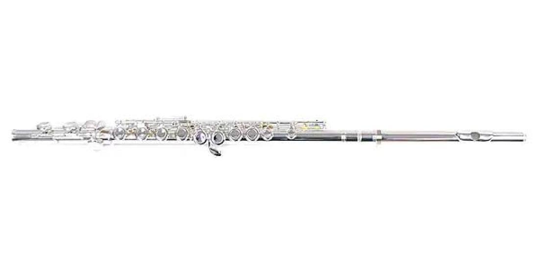 

Клавиша PLAYTECH Flute Covered с покрытием из немецкого серебра и футляром