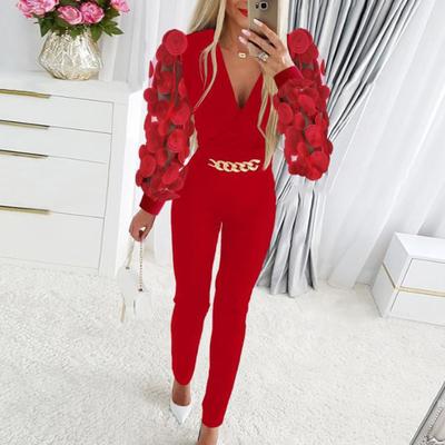 Combinaison femme Rose Applique transparent maille chaîne décor coupe ajustée col en V taille haute couleur unie Style de trajet formel longue combinaison