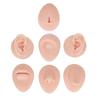 Modello di Simulazione in Silicone per Esercitazione Corporea, Modello in Silicone per Orecchio, Occhio, Naso, Bocca, Lingua e Ombelico per Principianti