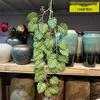 Artificial Spider Plant & Fern Hanging Decor - Trailing Green Vines for Wall & Ceiling