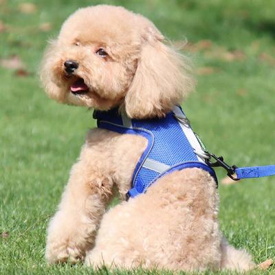 Easy Walk Dog Harness + Leash (M/Blue)