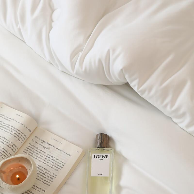 Southern Living 7A Antibacterial Winter Duvet