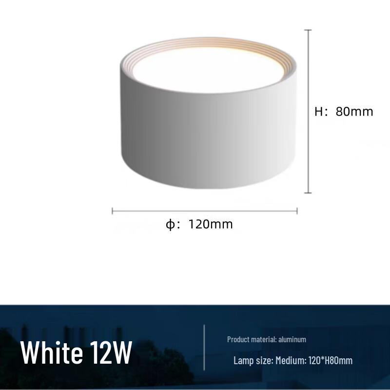 

Minimalist Round Surface-Mounted LED Downlight