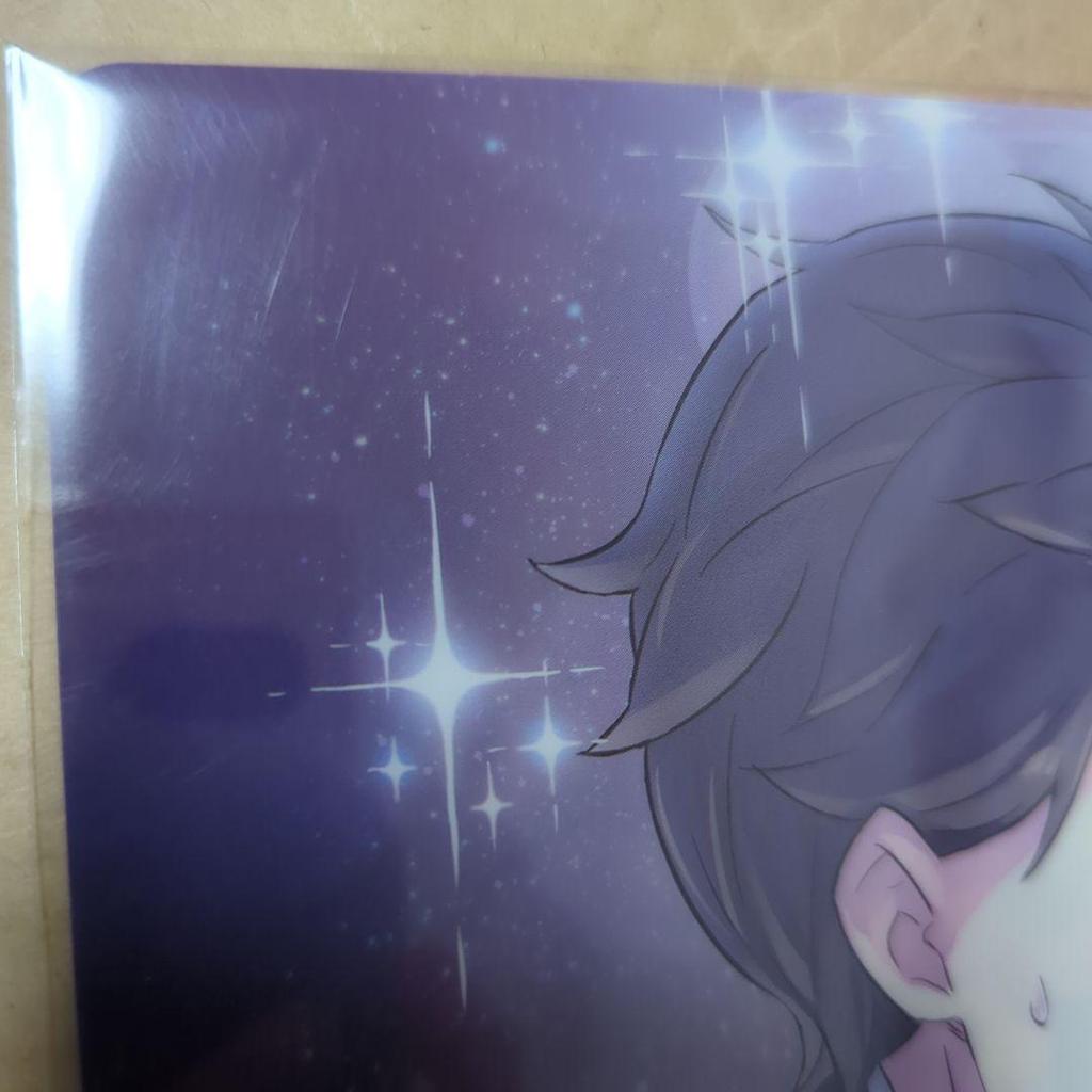 [USED] Free shipping, minor scratches / A4 clear file with purchase bonus for art book / Re:ZERO Starting Life in Another World 19