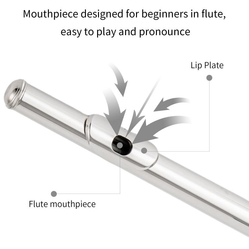 Factory Direct: Multi-color 16-hole/key C-tuned nickel-plated flute with silver-plated E key, wooden case