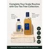 [AROMATICA] Tea Tree Purifying Shampoo 400ml - Organic, for Oily Scalp, Sulfate-Free