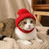 Knitted Pet Hat with Ear Holes Winter Warmer Dog Hat Elastic Puppy Beanie Cap Christmas Pet Thermal Accessories for Dogs & Cat
