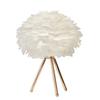 Feather LED Table Lamp with Push Button Subdued Light Decorative Gold Desk Bed Night Light