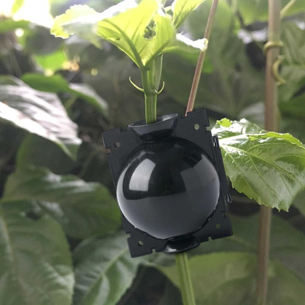 Rozmnażanie Roślin Pudełko do Odkładów Powietrznych Szczepienie przez Nacinanie Pudełko do Ukorzeniania Drzewo Ogrodowe Wysokogórskie Odkłady Powietrzne Ukorzenianie Rozmnażacz Kula Ogrodnicza