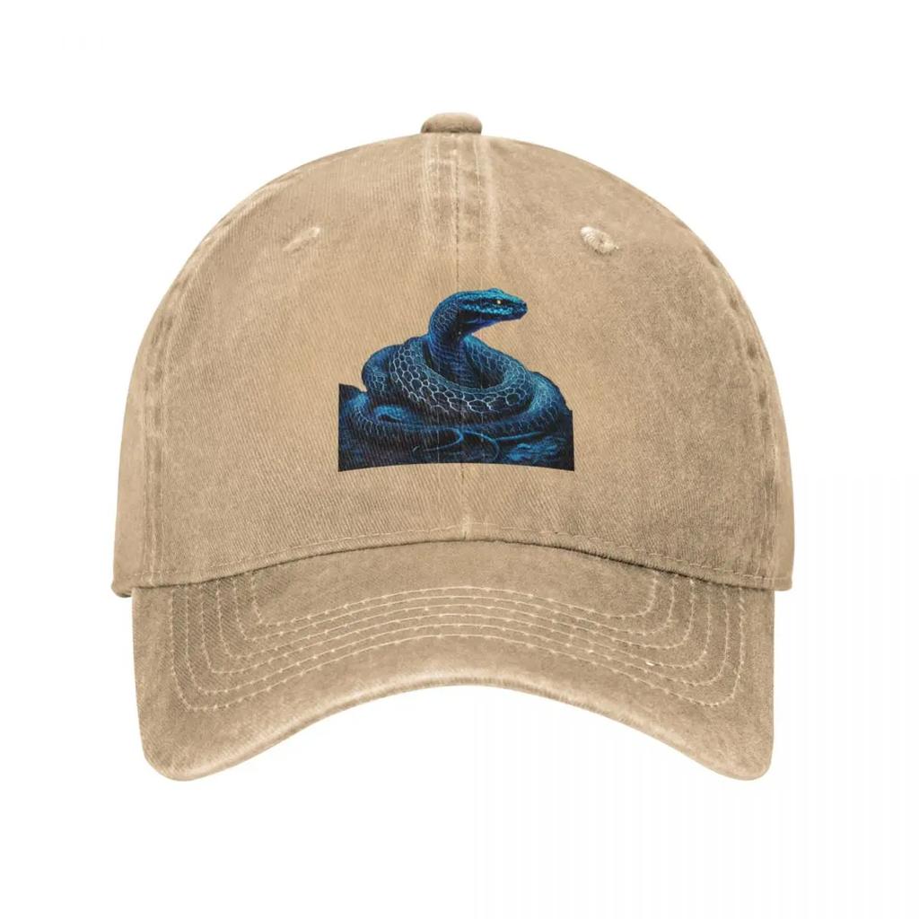 Blue Snake Baseball Cap Beach Outing Sunhat Hat Luxury Brand western Hat Womens Beach Outlet Unisexs