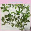 Artificial Plant Wall Climber With Silk Screen Tape For Indoor Garden And Wall Decoration