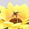 MNFT 10PCS 14# Copper Beadhead Trout Nymph Red Body Fishing Flies Artificial Bait