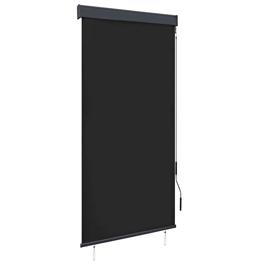Vidaxl External Roller Blind, 100X250 Cm, Anthracite
