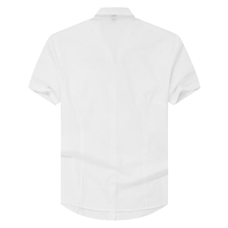 YOUNGOR Women's Summer Business Casual Short Sleeve Shirt