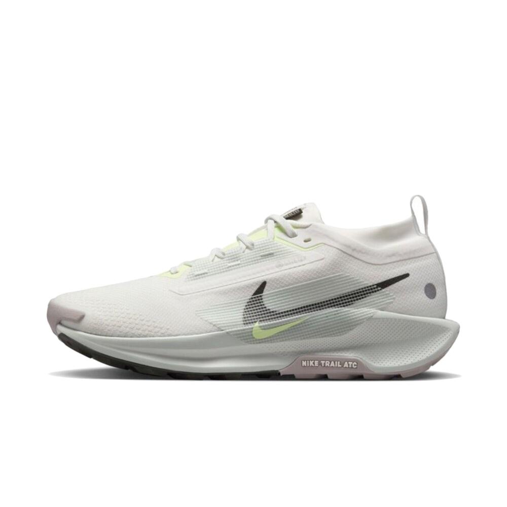 Nike Pegasus Trail 5 Gore-Tex `Summit