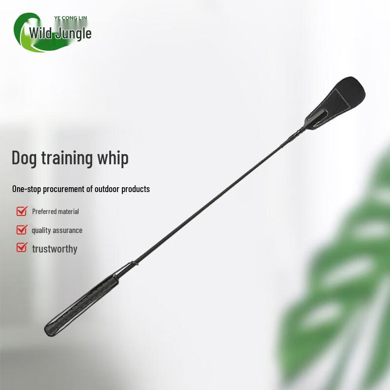 Rongbang Professional Dog Agility Training Gear
