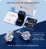 MomentWish Moissanite 1 karat øredobber Øredobber Hypoallergene øredobber D Farge VVS1 Simulerte diamantøredobber 5 mm øredobber, Kvinner Kvinner Kvinner